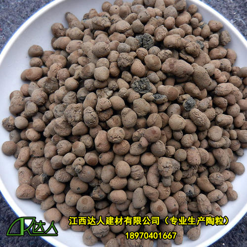 http://www.leovi.cn