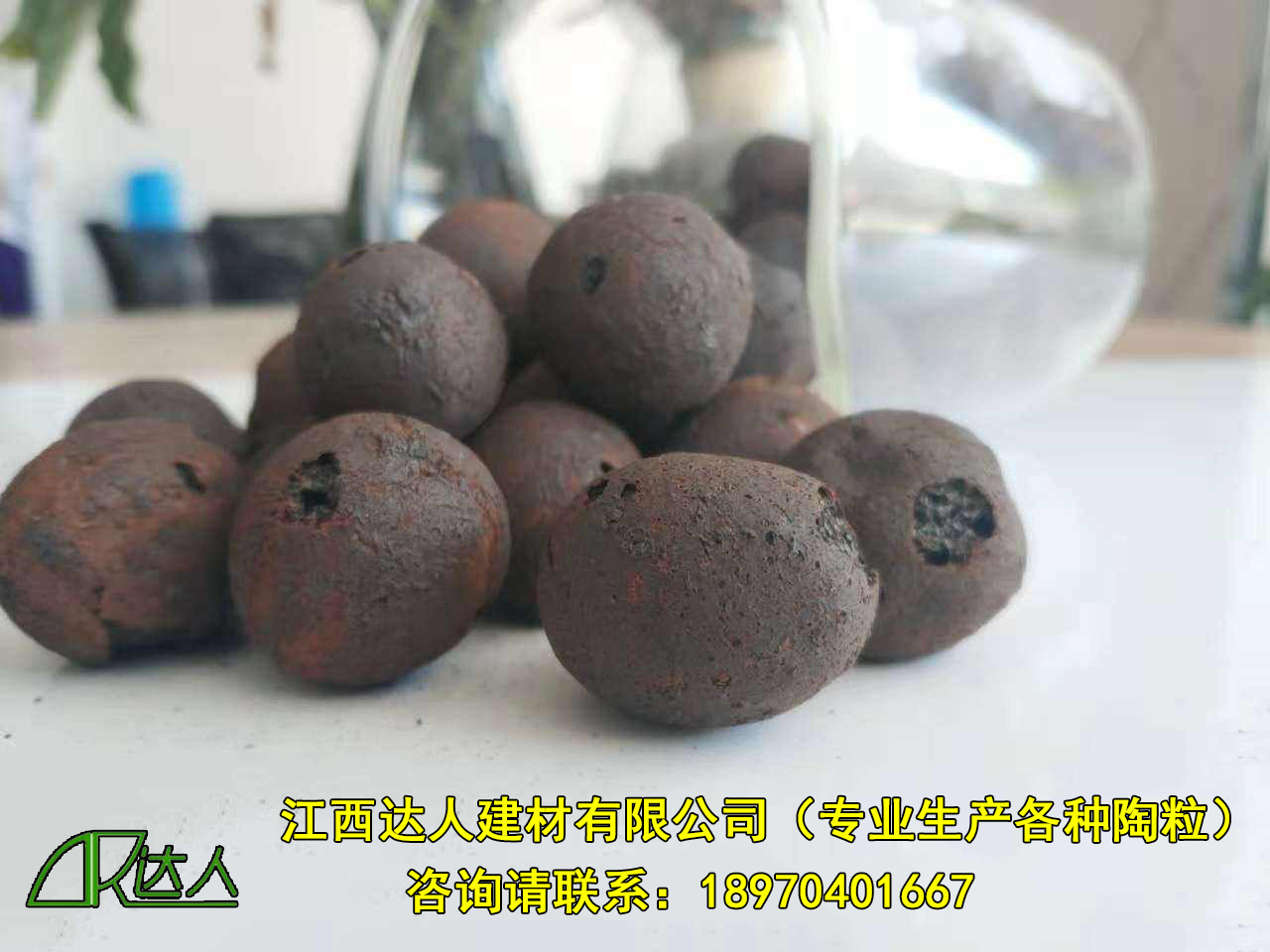 http://www.leovi.cn