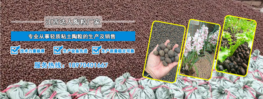 http://www.leovi.cn